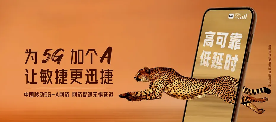 邗江区邗江区甘泉镇 移动宽带